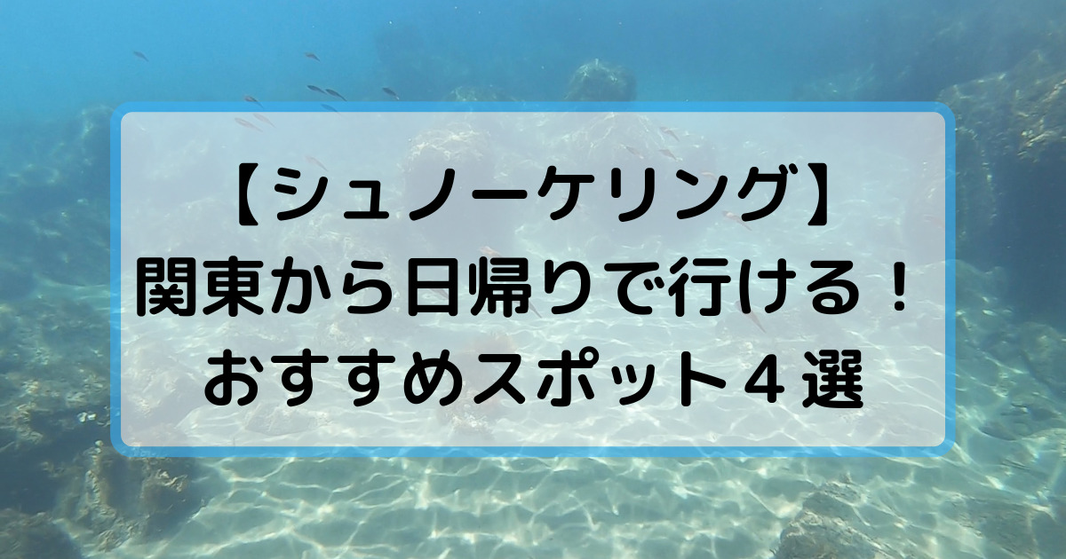 シュノーケリング 関東から日帰りで行ける海水浴場４選 とらかめブログ