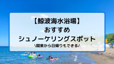 レジャー とらかめブログ