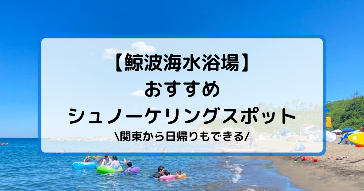 鯨波海水浴場 シュノーケリングでおすすめなスポット 関東から日帰りで行ってきた とらかめブログ