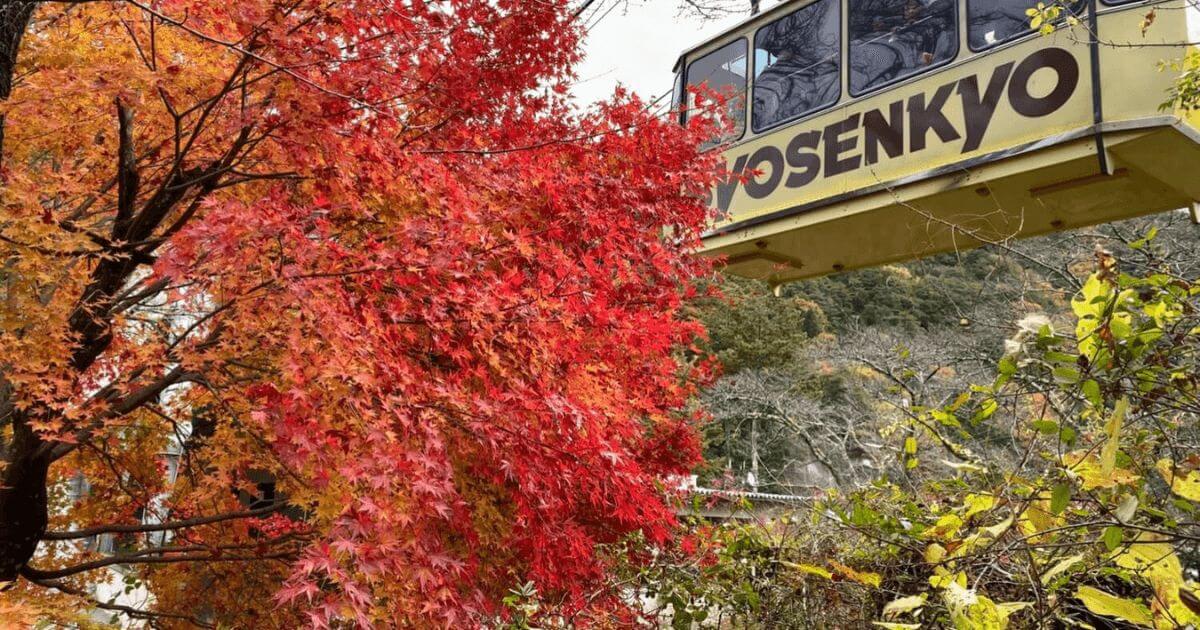 山梨県 絶景 紅葉が楽しめる昇仙峡ロープウェイ ドライブデートにもおすすめ とらかめブログ